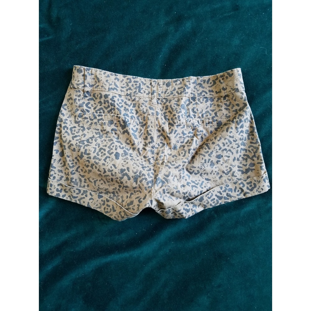 Shorts - Picture 2 of 3